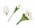 63e47396bd4eb7b4d3515abfb8435c98